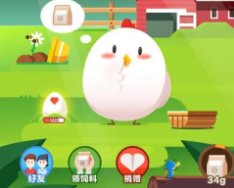 《蚂蚁庄园》小鸡去哪了？