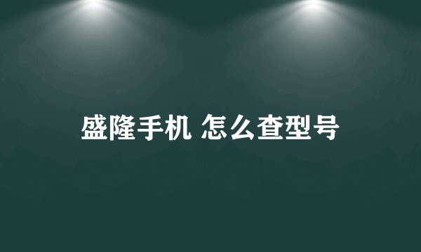 盛隆手机 怎么查型号