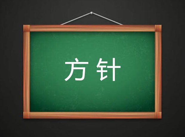 方针是什么意思