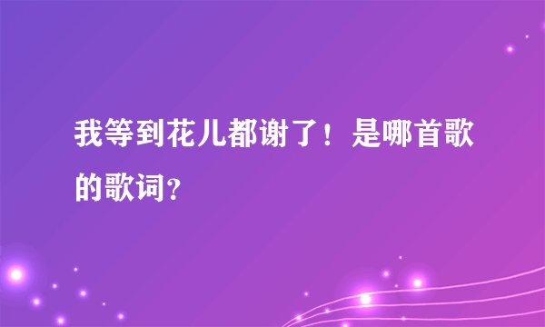 我等到花儿都谢了！是哪首歌的歌词？