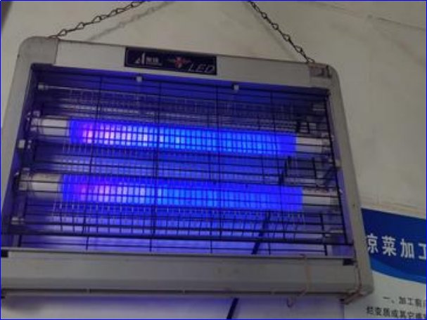 灭蝇灯十大名牌