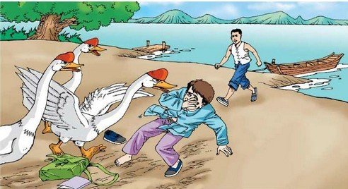 牛和鹅课文生字的组词和课文段意？