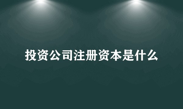 投资公司注册资本是什么