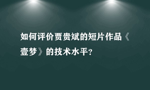 如何评价贾贵斌的短片作品《壹梦》的技术水平？