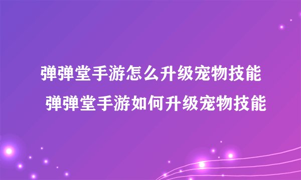 弹弹堂手游怎么升级宠物技能 弹弹堂手游如何升级宠物技能