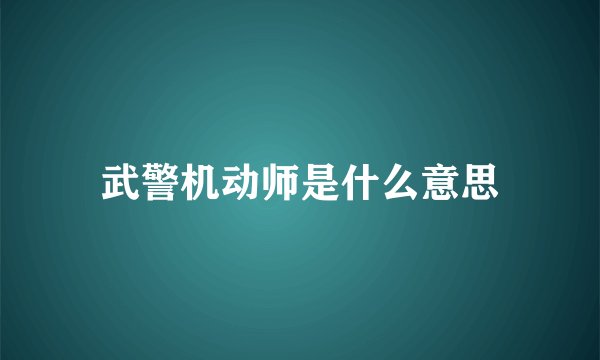 武警机动师是什么意思