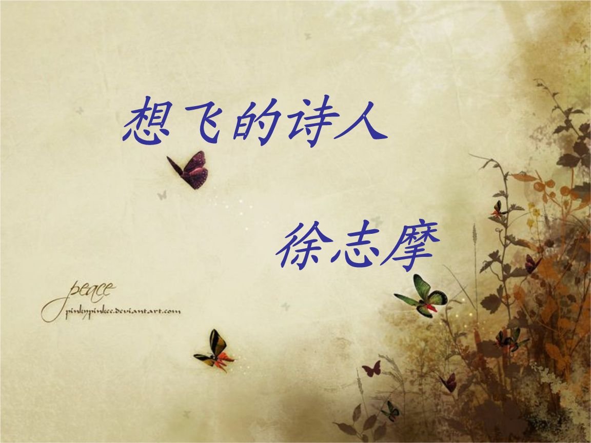 徐志摩的文章《想飞》的解读