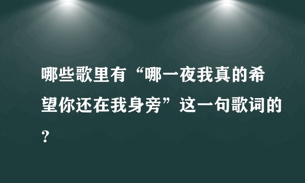 哪些歌里有“哪一夜我真的希望你还在我身旁”这一句歌词的？