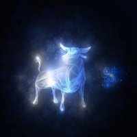 请问五月十七号出生是什么星座？