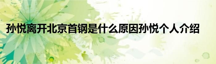 孙悦离开北京首钢是什么原因孙悦个人介绍