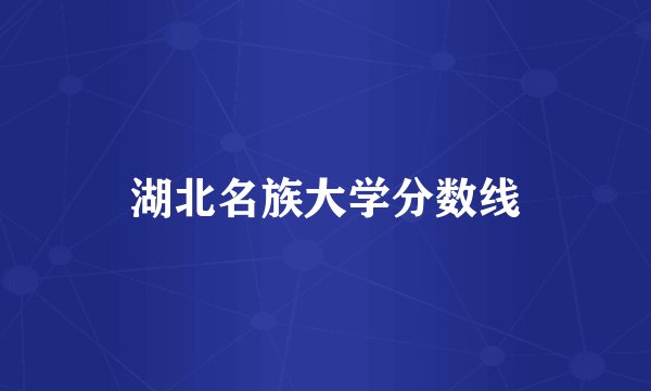 湖北名族大学分数线