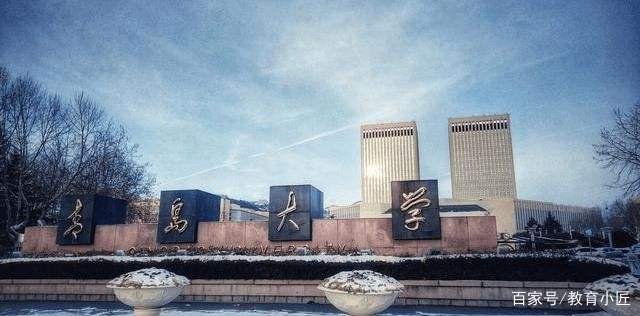 青岛大学一教职员工发表不当言论被处分，该名职员以后还能从事教师行业吗？