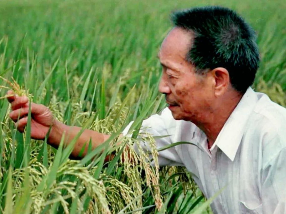 袁老家属以书面形式致答谢辞，他的离去让人们有什么深思？