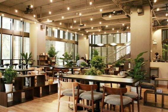 淡雅什么意思解释