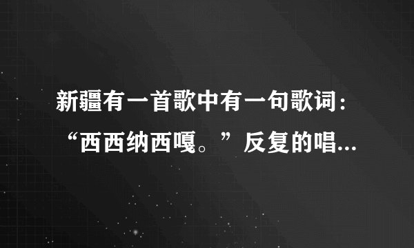 新疆有一首歌中有一句歌词：“西西纳西嘎。”反复的唱，调子琅琅上口，在电视上经常有听到。歌名叫啥啊？