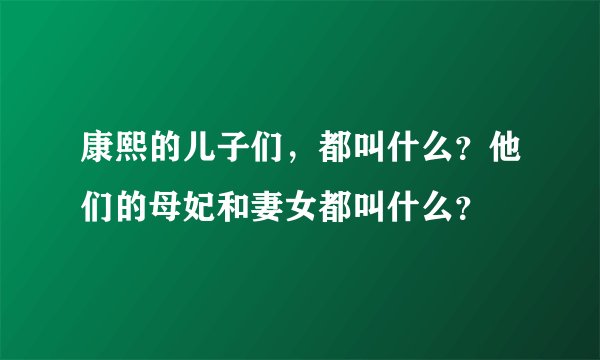 康熙的儿子们，都叫什么？他们的母妃和妻女都叫什么？