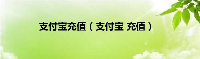 支付宝充值支付宝充值