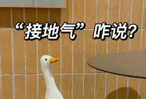 接地气什么意思?