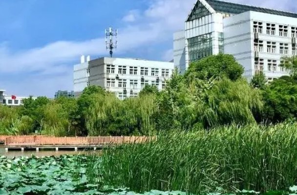 中南财大在全国的口碑