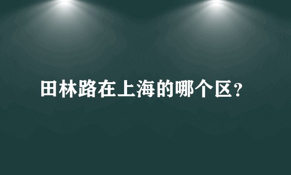 田林路在上海的哪个区？