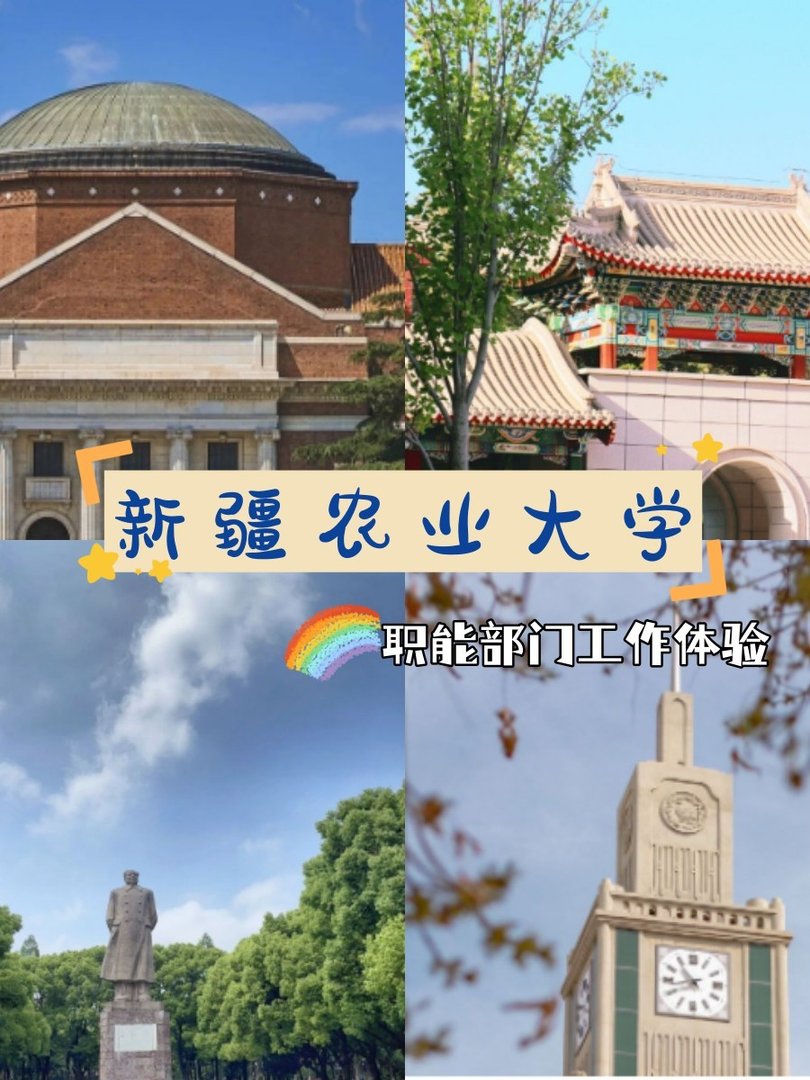 新疆农业大学的职能部门工作体验