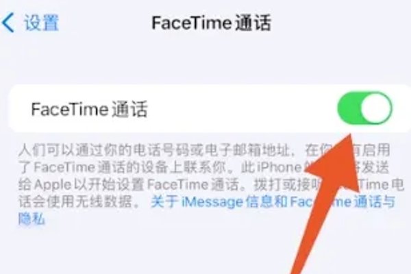 facetime通话怎么用？