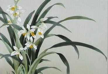 《幽兰操》原文及翻译赏析