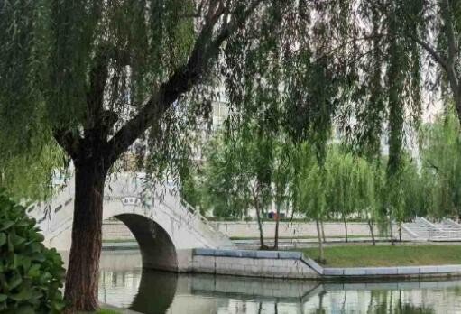 聊城大学怎么样?