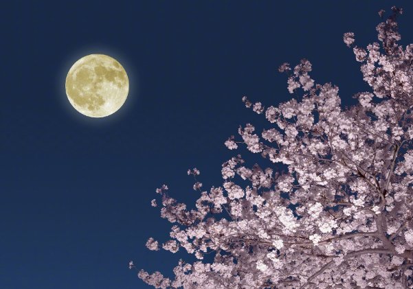 十五的月亮十五圆祝福语