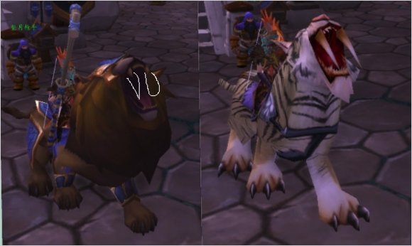 米米尔隆的头部的介绍