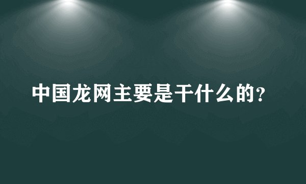 中国龙网主要是干什么的？