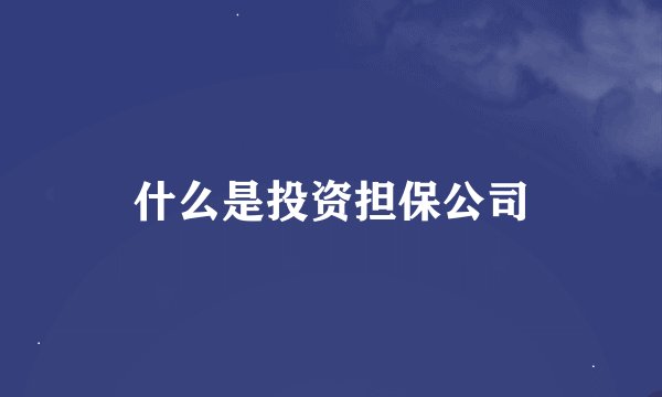 什么是投资担保公司