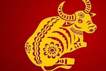 为何属牛的不怕本命年？