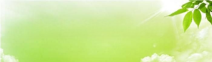 王银旺杨艳红什么关系(王银旺)