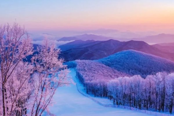 哪句诗描写冬季美景蚂蚁庄园的句子