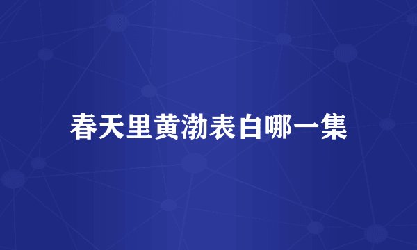 春天里黄渤表白哪一集