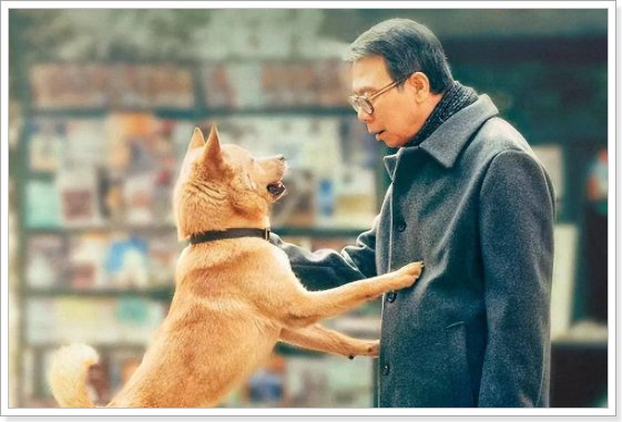 电影2023排行榜前十名