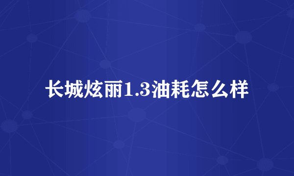 长城炫丽1.3油耗怎么样