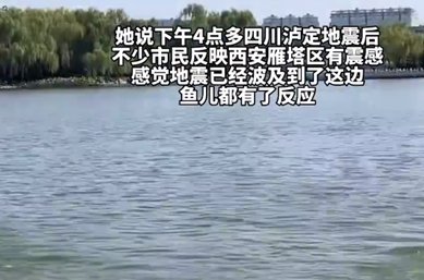 9月5日，西安一湖内惊现“鲤鱼跃龙门”的现象，这是什么原因造成的？