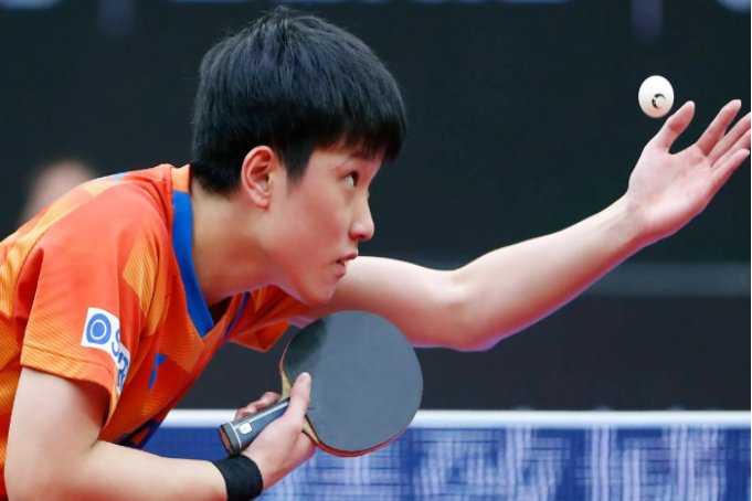 张本智和的妈妈是谁