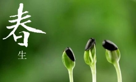 春天来了，春天来了，春天来了，春天来了。