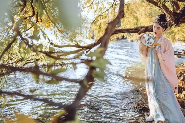 惊鸿一瞥啥意思