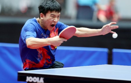 向鹏乒乓球个人资料简介