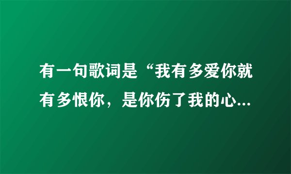 有一句歌词是“我有多爱你就有多恨你，是你伤了我的心”这首歌的歌名是什么？急！！！