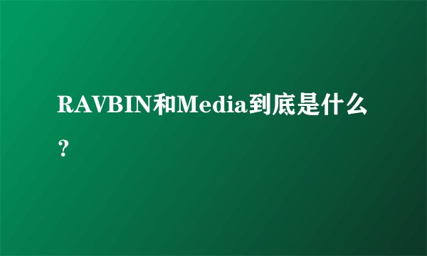 RAVBIN和Media到底是什么？