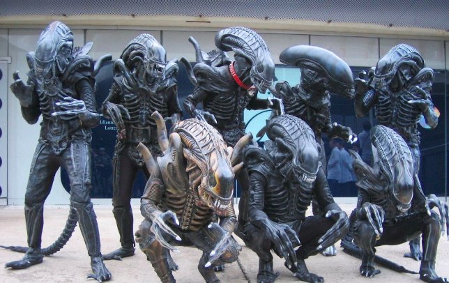 好莱坞电影排行榜前十名