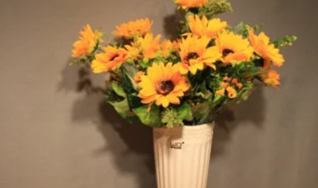 九月的风八月的雨是什么歌