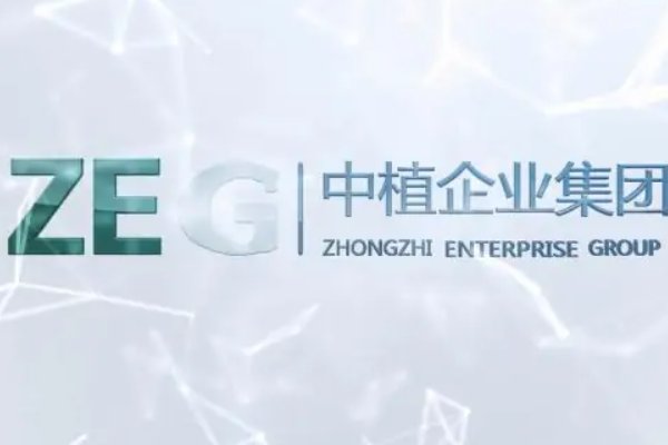 中植系到底是什么意思？