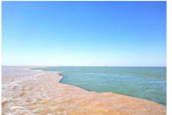 黄河入海口特有的“黄蓝分明”景观是如何形成的?