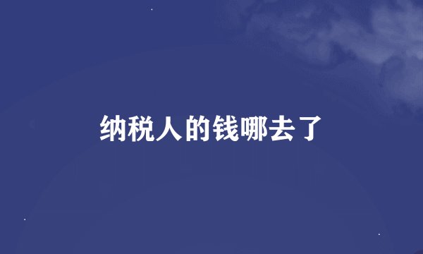 纳税人的钱哪去了